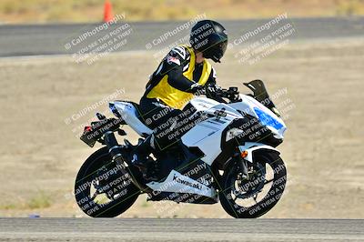 media/Sep-01-2024-Lets Ride (Sun) [[fd7c166674]]/C Group/Close Ups/